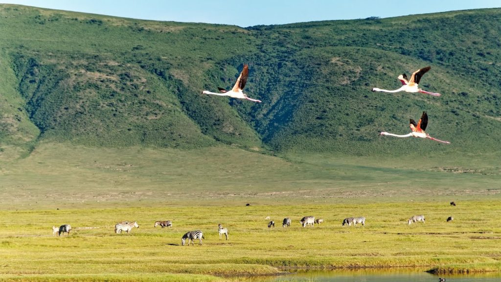 Ngorongoro-crater