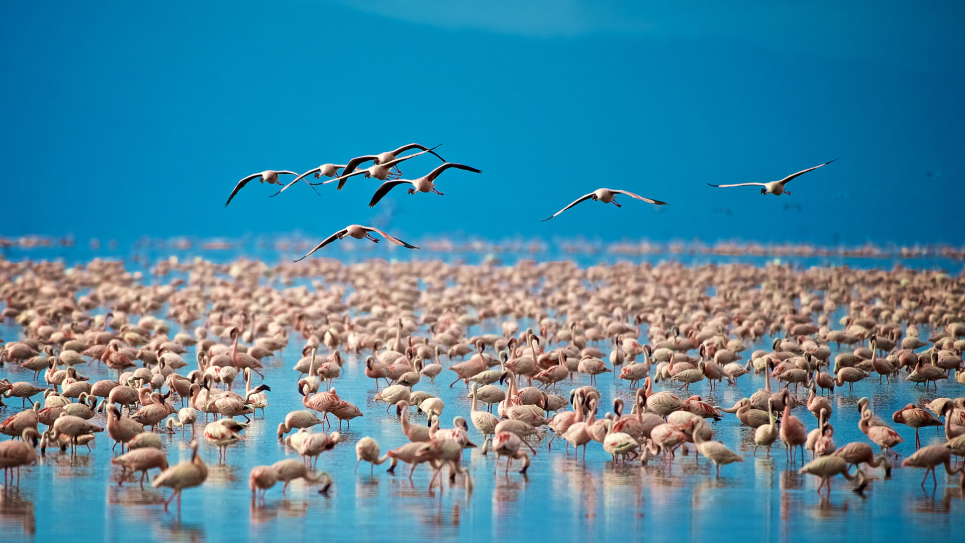 lake-manyara-national-park