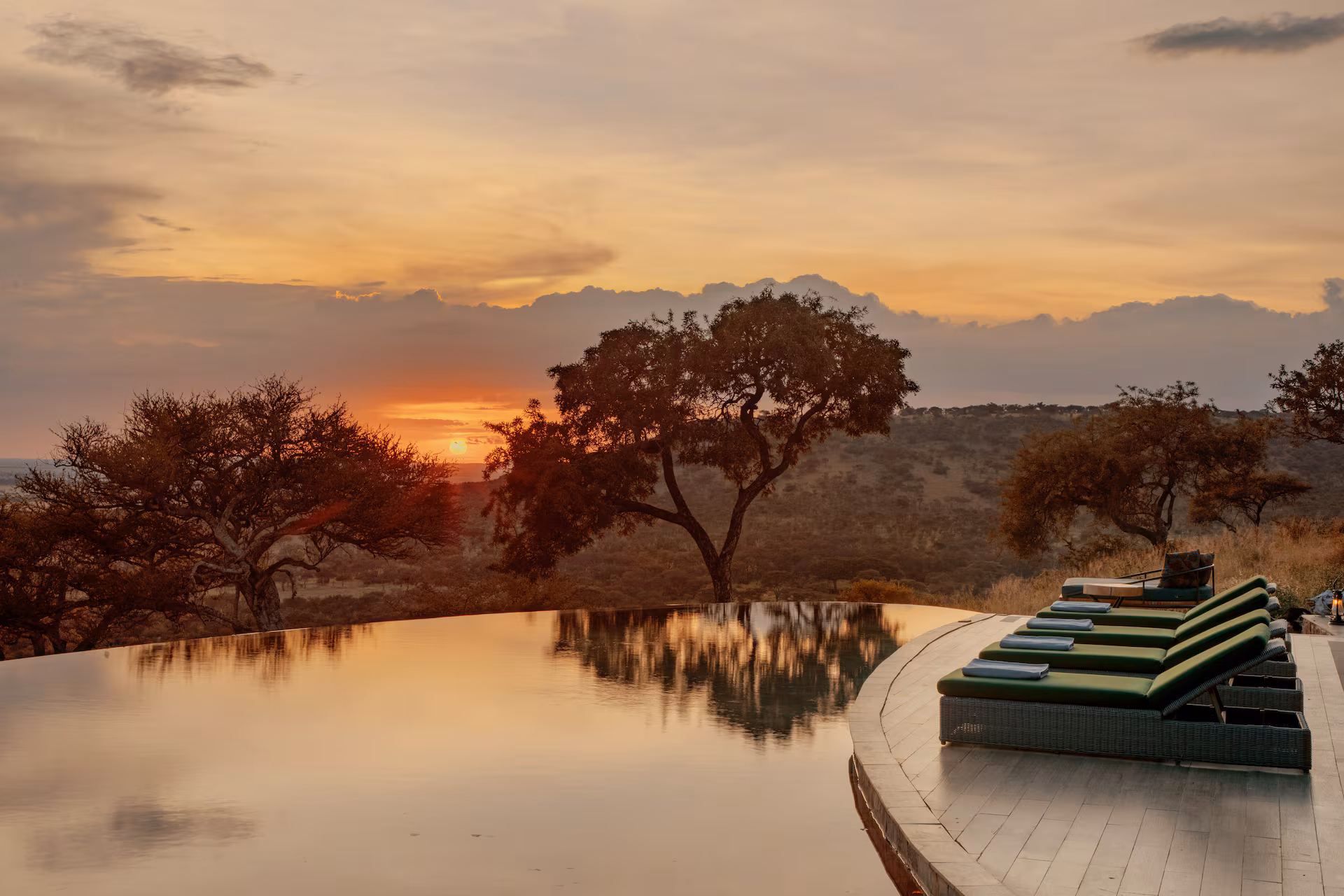 melia serengeti