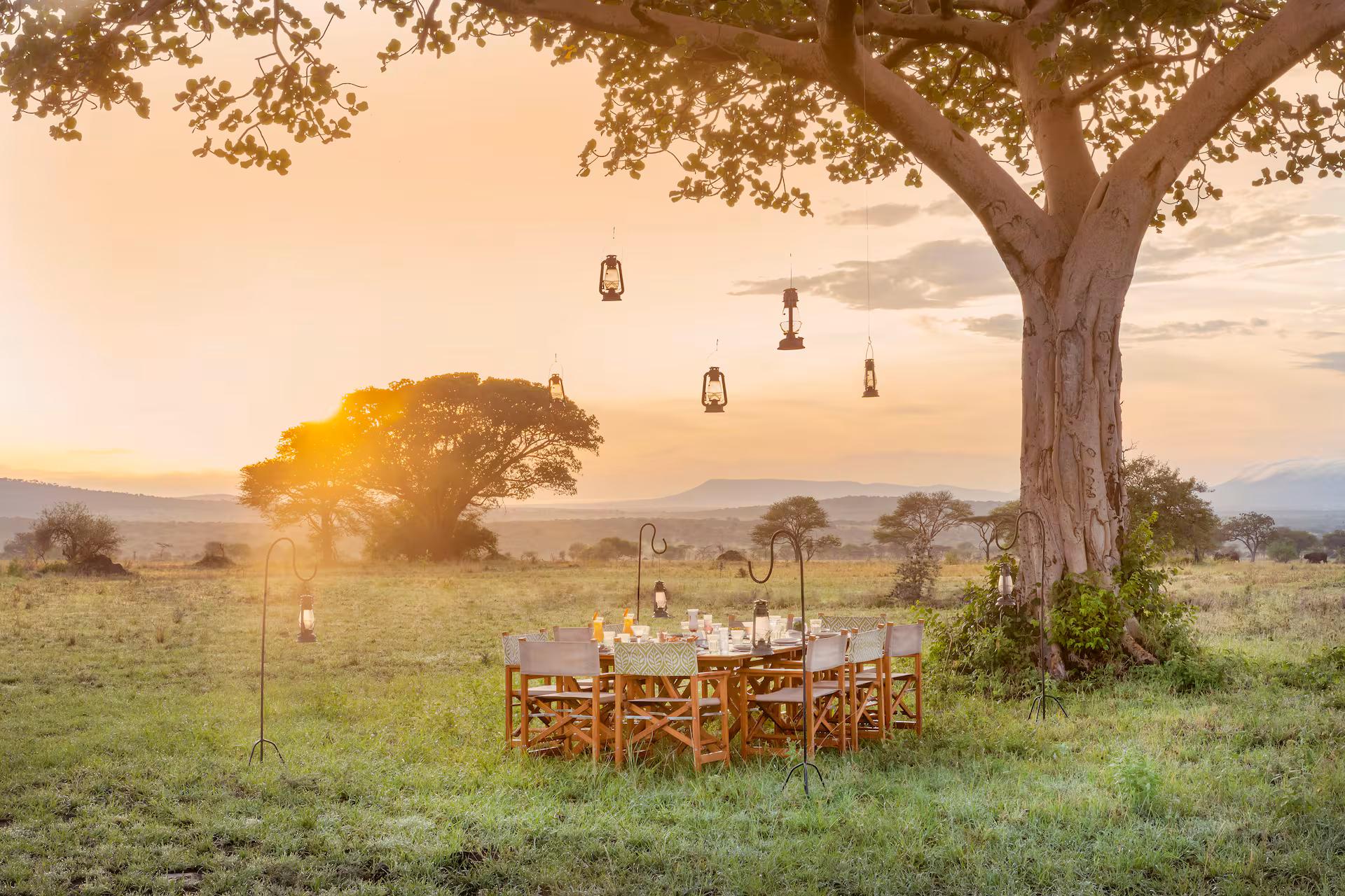 melia serengeti8