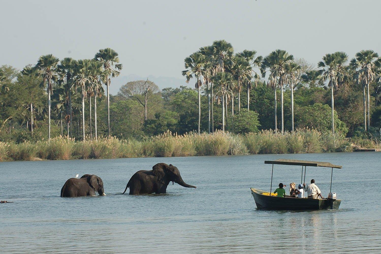 nyerere national park