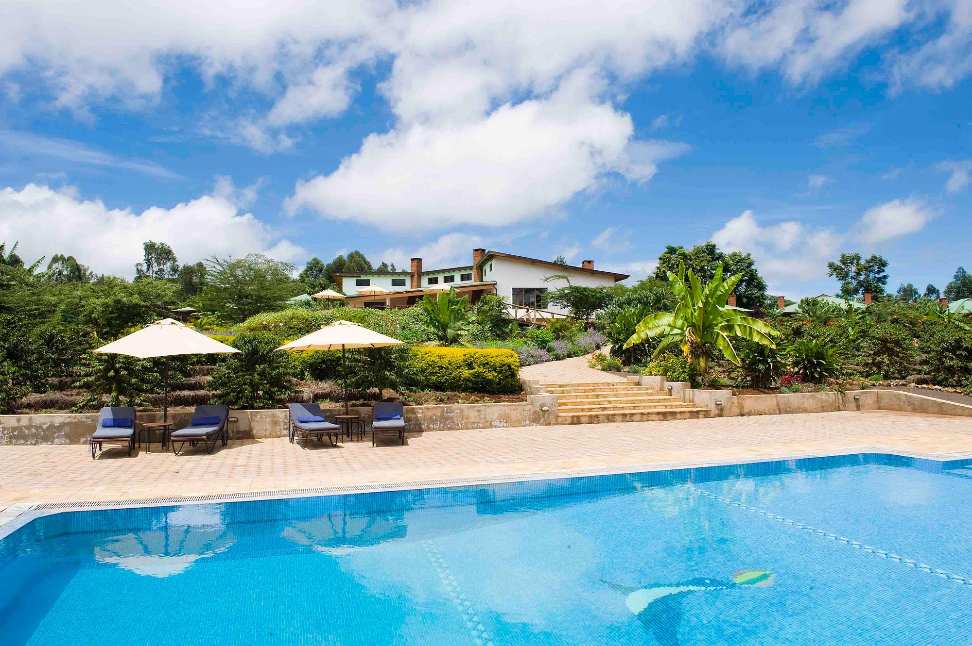 tloma-lodge-2