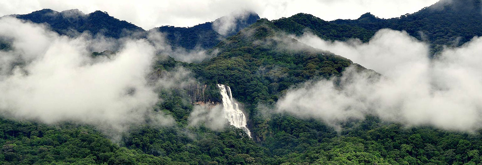udzungwa-national-park
