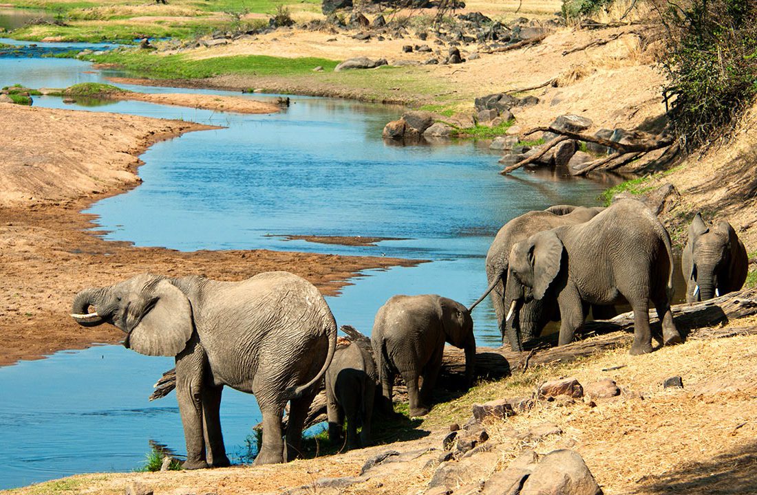 Ruaha-National-Park